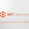 WP-Optimize Premium – Keep Your Database Fast & Efficient