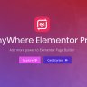 AnyWhere Elementor Pro WordPress Plugin