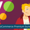 Yoast WordPress SEO Premium
